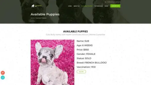 Screenshot of