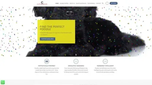 Screenshot of