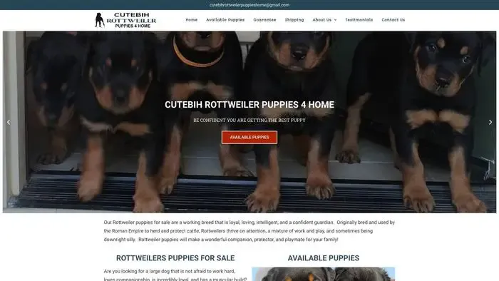 Screenshot of