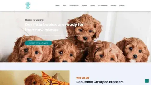 Screenshot of
