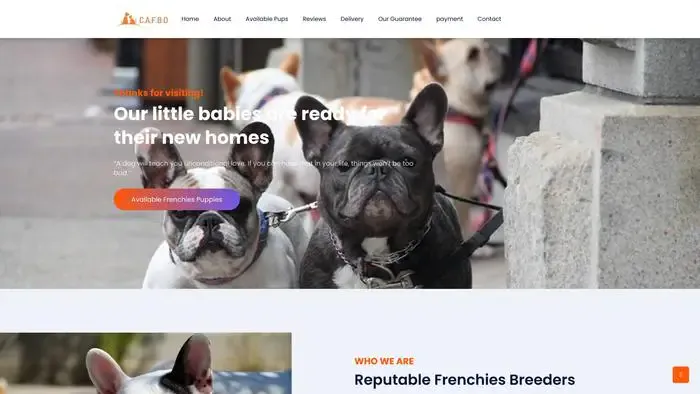 Screenshot of