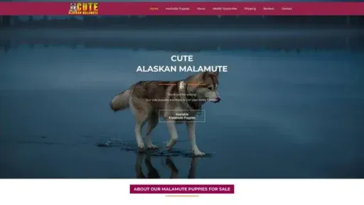 Screenshot of