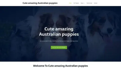 Screenshot of