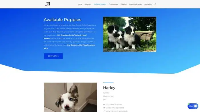 Screenshot of
