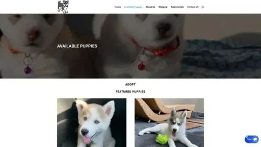 Screenshot of