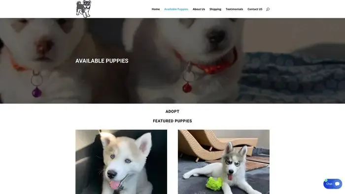 Screenshot of
