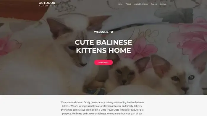 Screenshot of