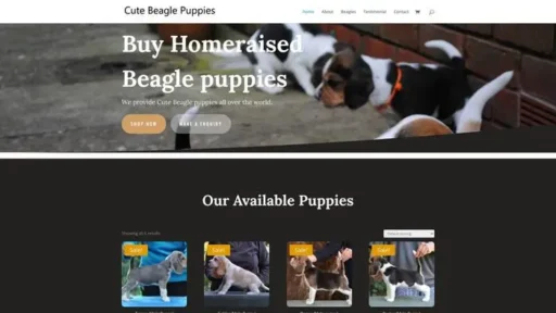 Screenshot of