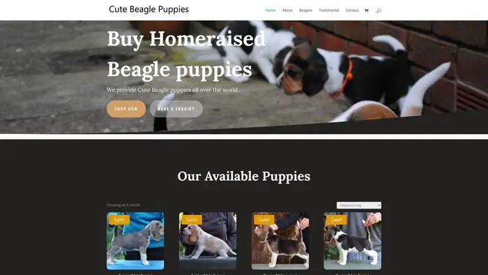 Screenshot of