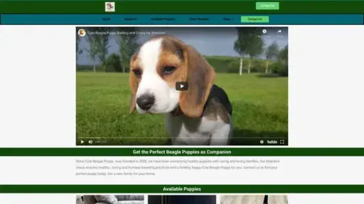 Screenshot of