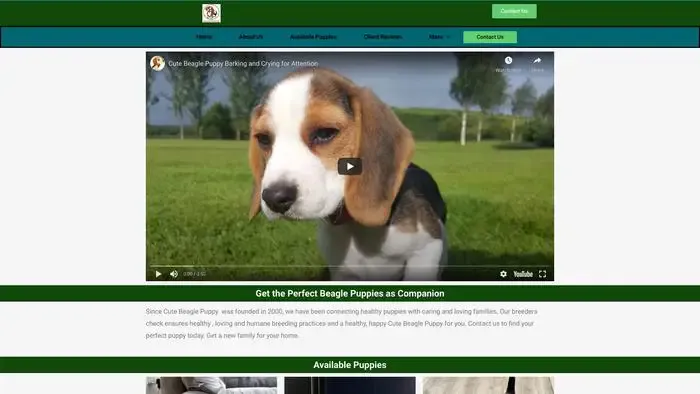 Screenshot of