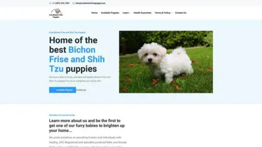 Screenshot of