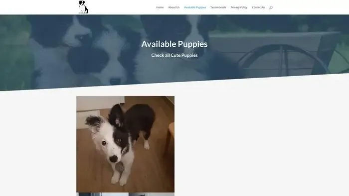 Screenshot of