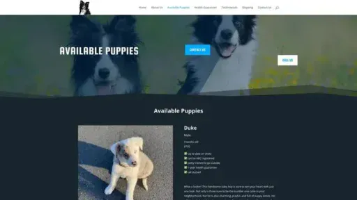 Screenshot of