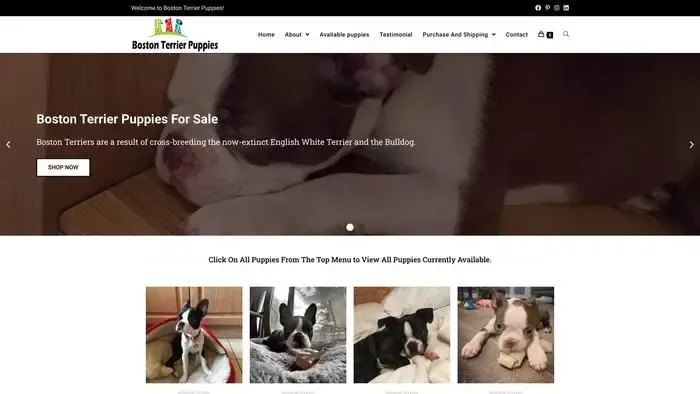 Screenshot of