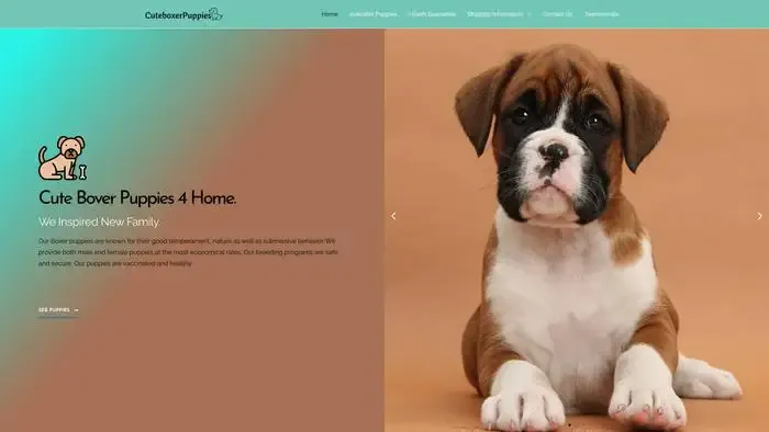 Screenshot of