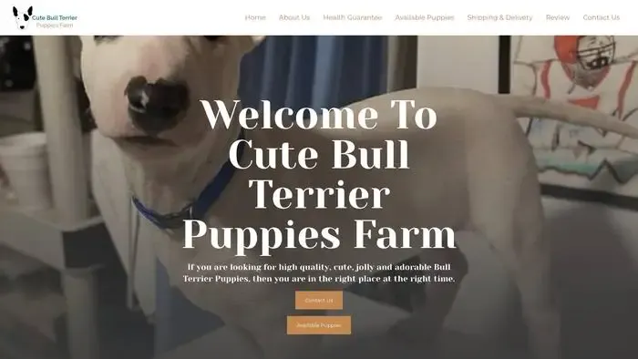 Screenshot of