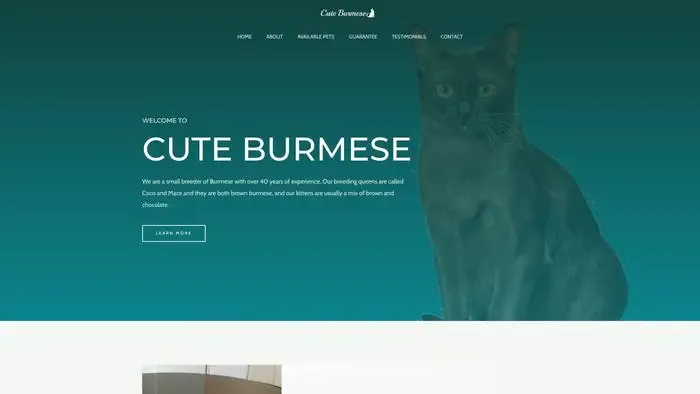 Screenshot of