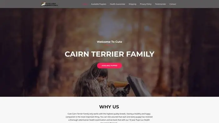 Screenshot of