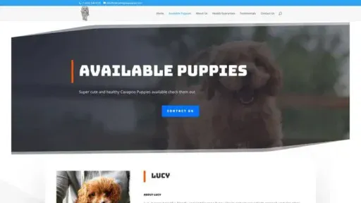 Screenshot of