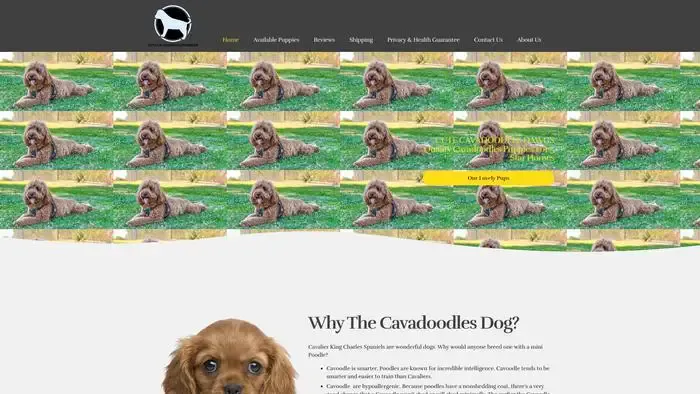 Cutecavadoodlesdawgs