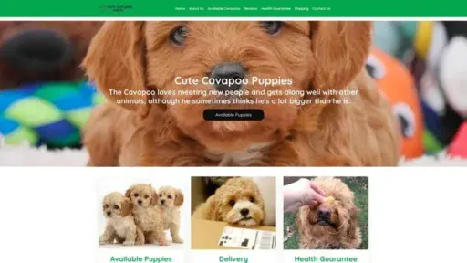 Screenshot of