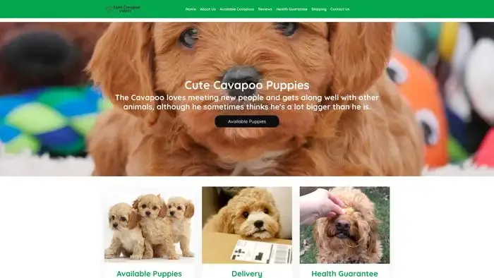 Screenshot of
