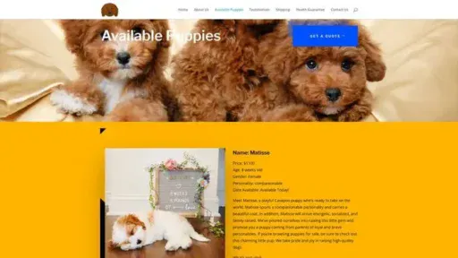 Screenshot of