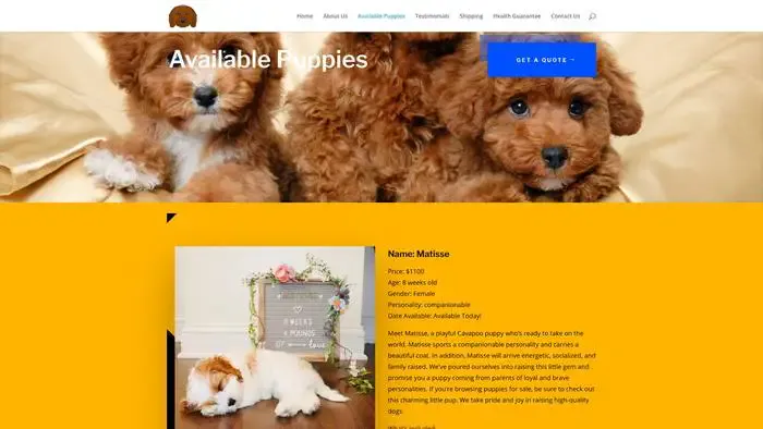 Screenshot of