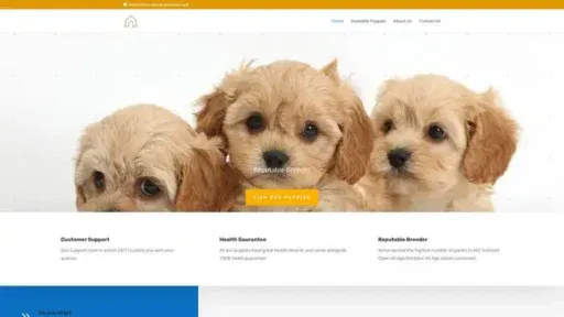 Screenshot of