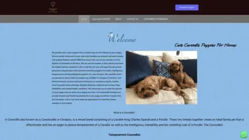 Screenshot of