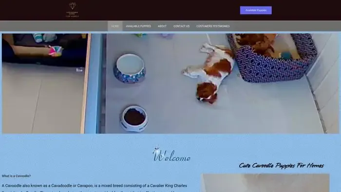 Screenshot of