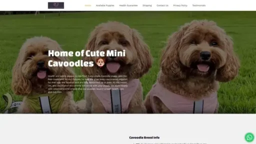 Screenshot of
