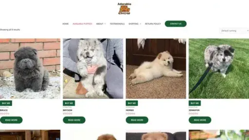 Screenshot of
