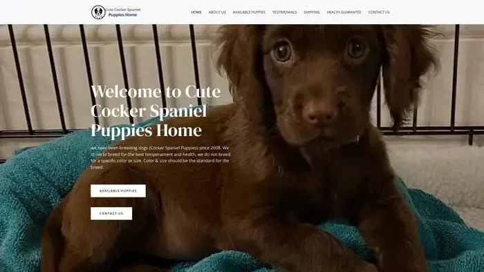 Screenshot of