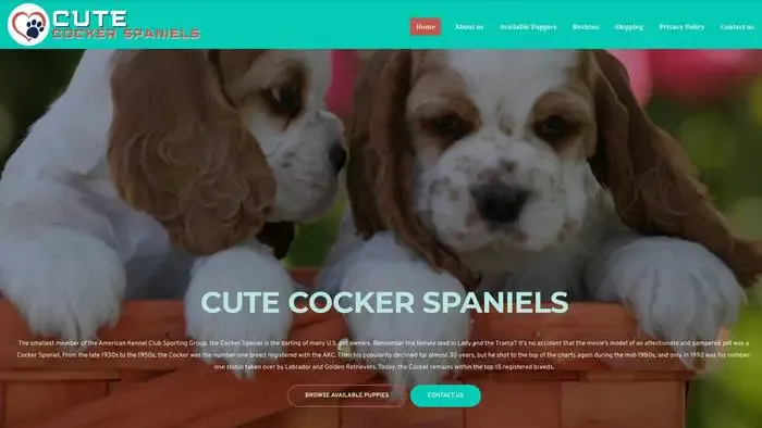 Screenshot of