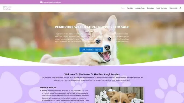 Screenshot of