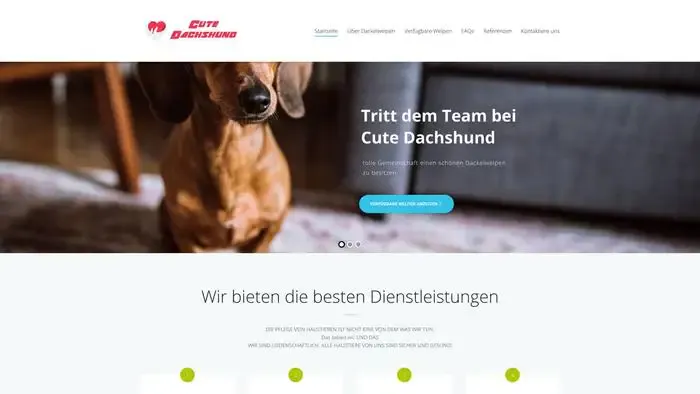 Screenshot of