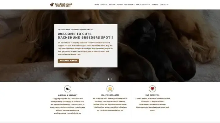 Screenshot of
