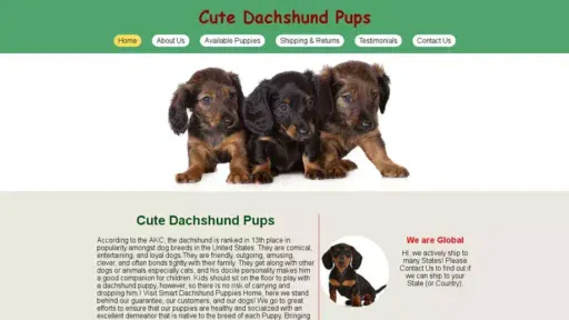 Screenshot of