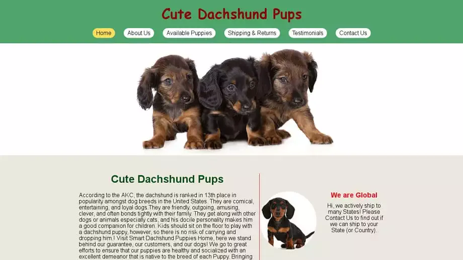 Screenshot of