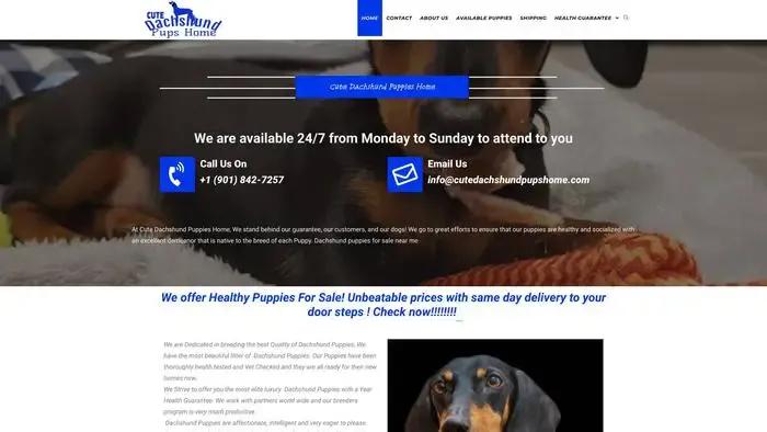 Screenshot of