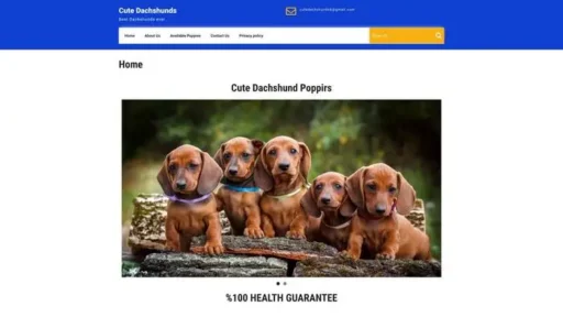 Screenshot of