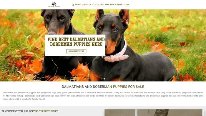Screenshot of