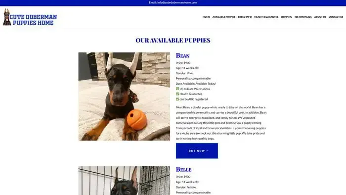 Screenshot of