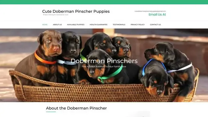Screenshot of