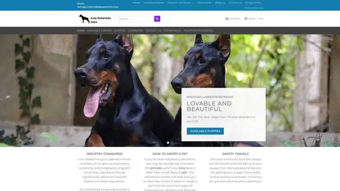 Screenshot of