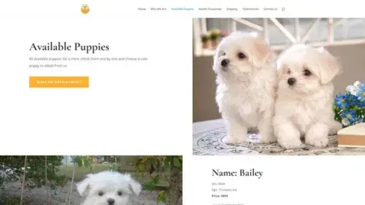 Screenshot of