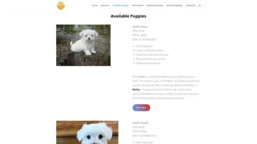 Screenshot of