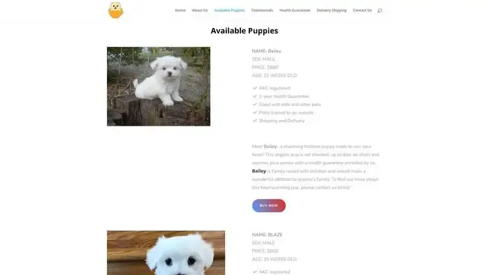 Screenshot of